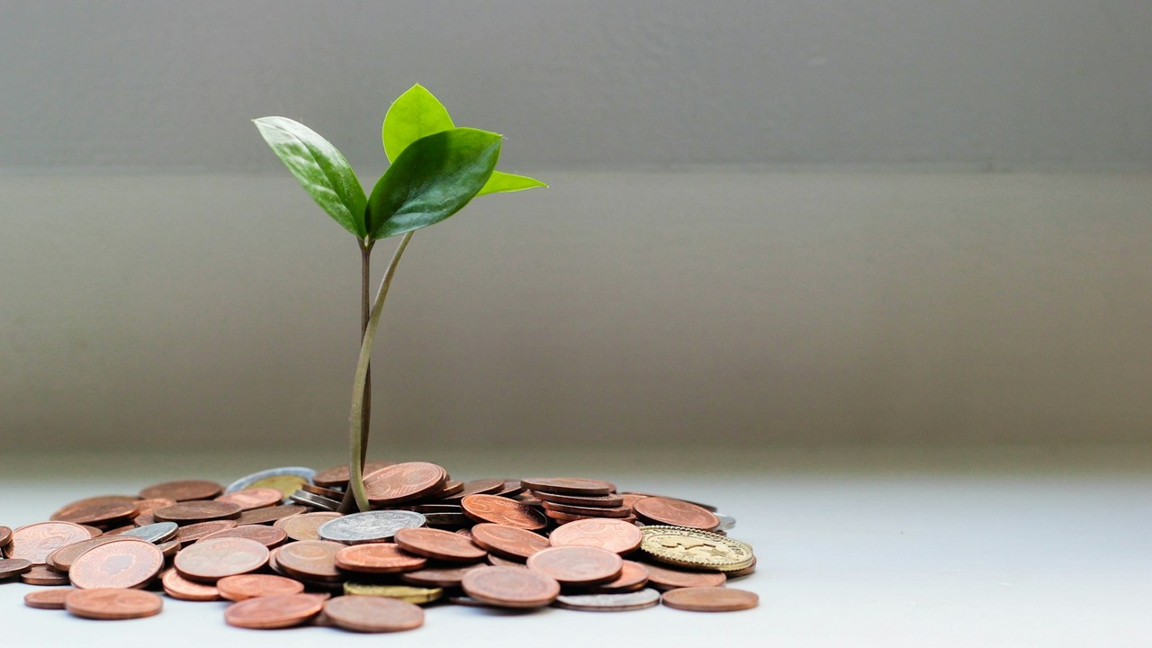 Savings buffer and financial safety cushion for unexpected emergencies